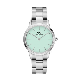 WATCH ICONIC LINK SILVER&PASTEL-GREEN D32.