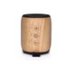 SPEAKER - WOODZ TUBE.