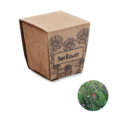 Picture of SUNFLOWER GROWING KIT in Brown