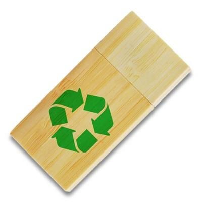 Picture of ECO BAMBOO USB