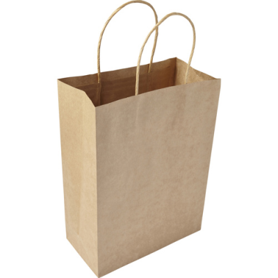 Picture of PAPER BAG (MEDIUM) in Brown.