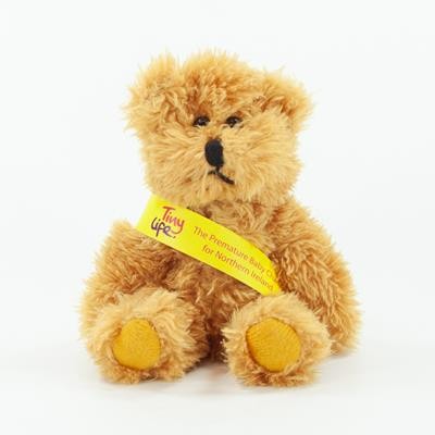 Picture of 15CM SPARKIE BEAR with Sash.