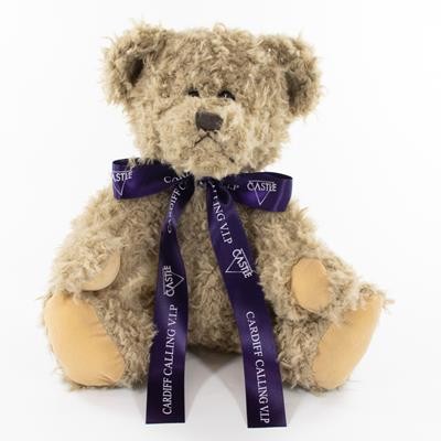 Picture of 35CM WINDSOR BEAR