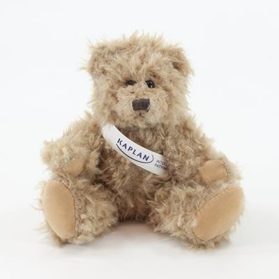 Picture of 20CM WINDSOR BEAR with Sash