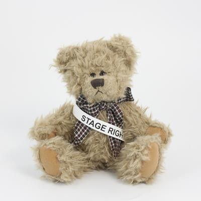 Picture of 25CM WINDSOR BEAR with Sash