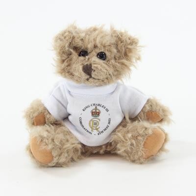 Picture of 15CM WINDSOR BEAR with Tee Shirt