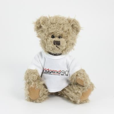 Picture of 25CM WINDSOR BEAR with Tee Shirt