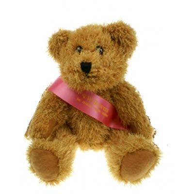 Picture of 20CM SPARKIE BEAR with Sash