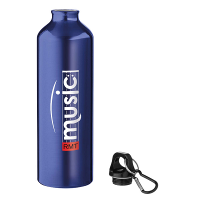 Picture of ALUMINIUM METAL BOTTLE with Carabiner (800Ml).