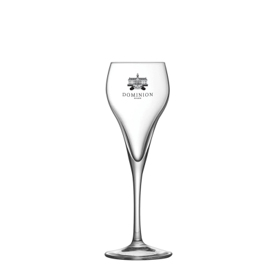 Picture of BRIO CHAMPAGNE FLUTE GLASS (95ML & 3.