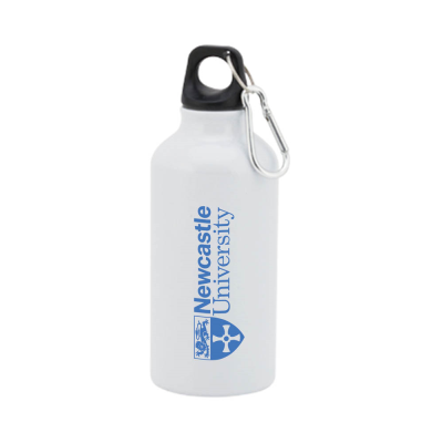 Picture of ALUMINIUM METAL BOTTLE with Carabiner Lid Mento (400Ml).