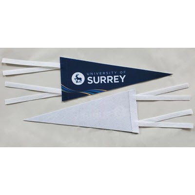 Picture of FELT PENNANT.