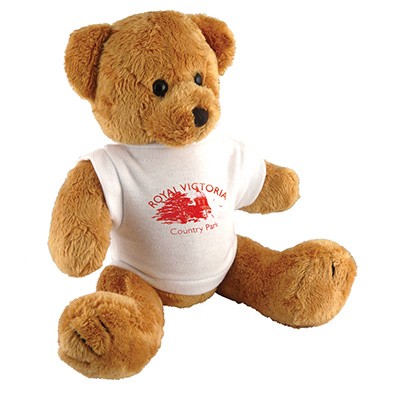 Picture of 10 INCH TALL ROBBIE BEAR with White Tee Shirt.