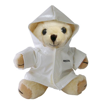 Picture of HONEY BEAR with Coat