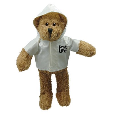 Picture of SCRAGGY TEDDY BEAR with Coat