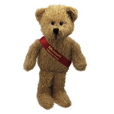 Picture of SCRAGGY HIGH SOFT BEAR with Printed Sash