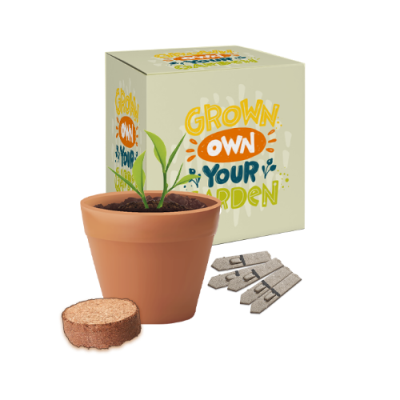 Picture of BOXED POT GARDENS