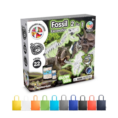 Picture of 2 in 1 Fossil Excavation Kit V.