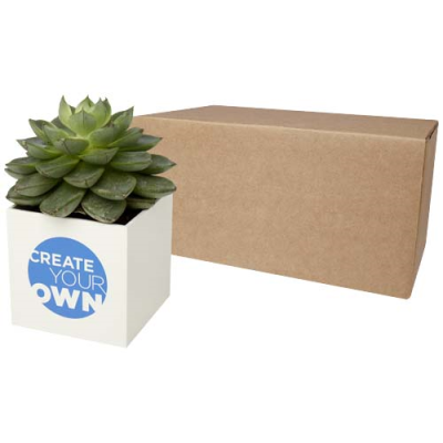 Picture of HEY POTS ALUMINIUM METAL PLANTED POT - SUCCULENT in White