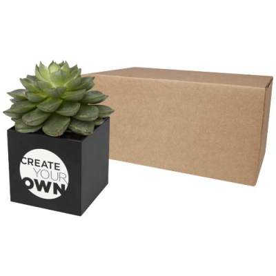 Picture of HEY POTS ALUMINIUM METAL PLANTED POT - SUCCULENT in Solid Black