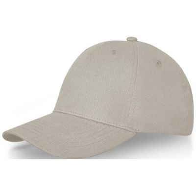 Picture of DAVIS 6 PANEL CAP in Oatmeal