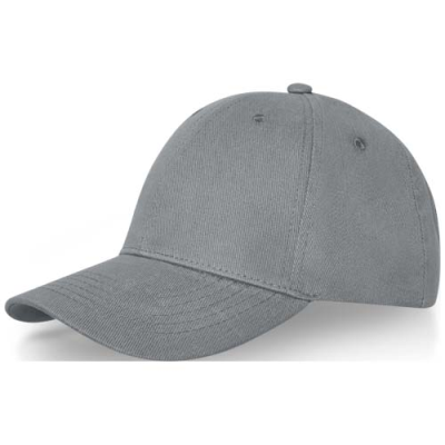 Picture of DAVIS 6 PANEL CAP in Grey.