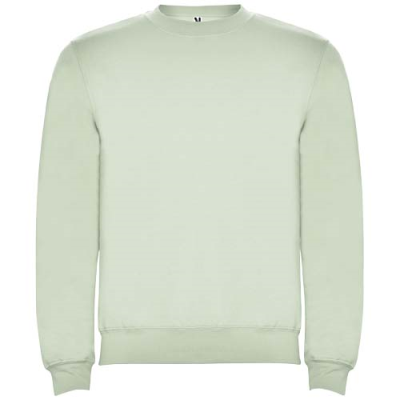 Picture of CLASICA UNISEX CREW NECK SWEATER in Mist Green.