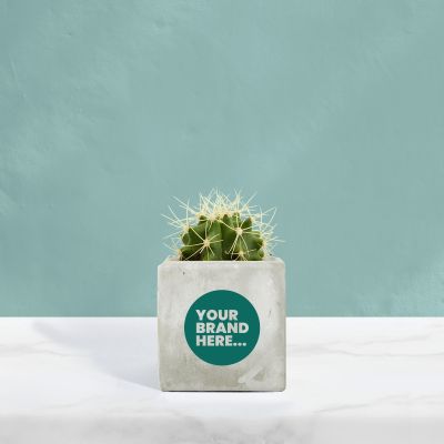 Picture of CACTUS in Marble Concrete Pot Printed