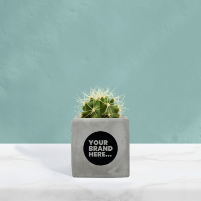 Picture of CACTUS in Grey Concrete Pot Printed