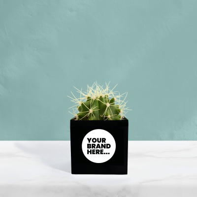 Picture of CACTUS in Black Aluminium Metal Pot Printed