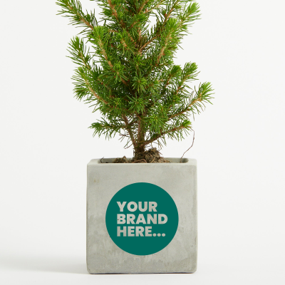 Picture of CHRISTMAS TREE in Marble Concrete Pot Printed