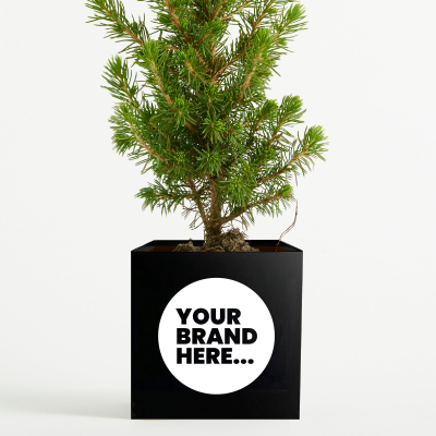 Picture of CHRISTMAS TREE in Black Aluminium Metal Pot Engraved