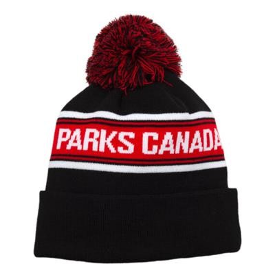 Picture of PREMIUM EXPRESS BEANIE ACRYLIC with Pom.