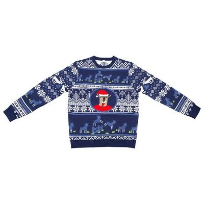 Picture of CHRISTMAS AND WINTER JUMPER