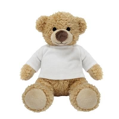 teddy bear with blank t shirt