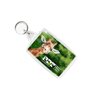 Picture of ACRYLIC INSERT KEYRING - L4 96MM x 55MM in Clear Transparent 