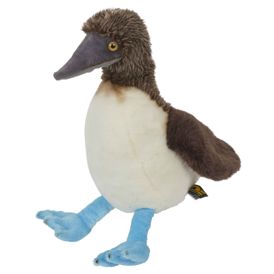 Picture of BLUE FOOTED BOOBY SOFT TOY