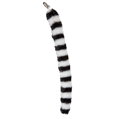 Picture of LEMUR TAIL