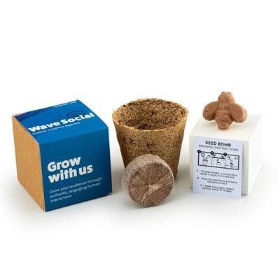 Picture of WILDFLOWER SEEDS BOMB KIT.