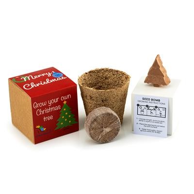 Picture of CHRISTMAS TREE SEEDS BOMB KIT