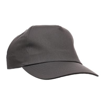 Picture of PREMIUM 5 PANEL CAP In Light Grey