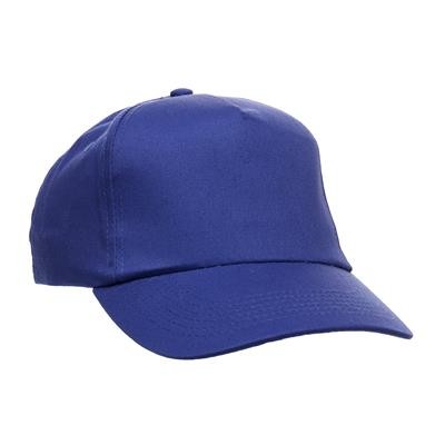 Picture of PREMIUM 5 PANEL CAP In Royal Blue.