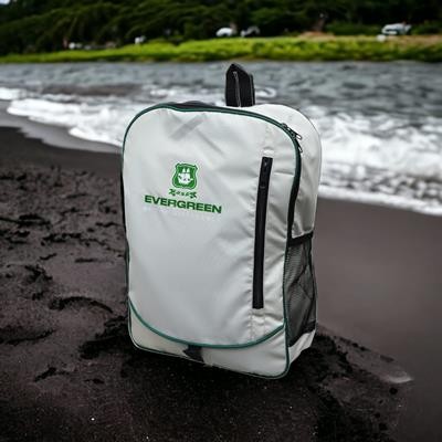 Picture of RECYCLED RIPSTOP LAPTOP BACKPACK RUCKSACK